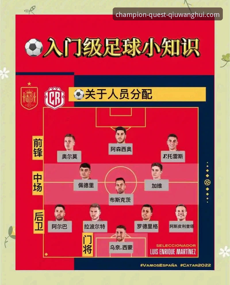 球王会官方网站注册与使用详解：从新手到达人的完整指南